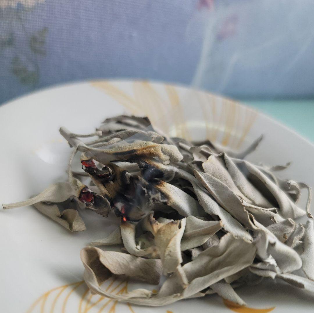 まるページ☆無農薬ホワイトセージ枝無しリーフ1.5KG