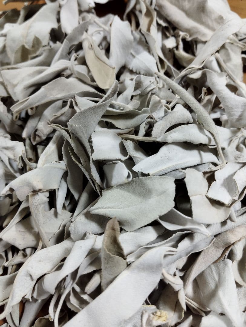 まるページ☆無農薬ホワイトセージ枝無しリーフ1.5KG