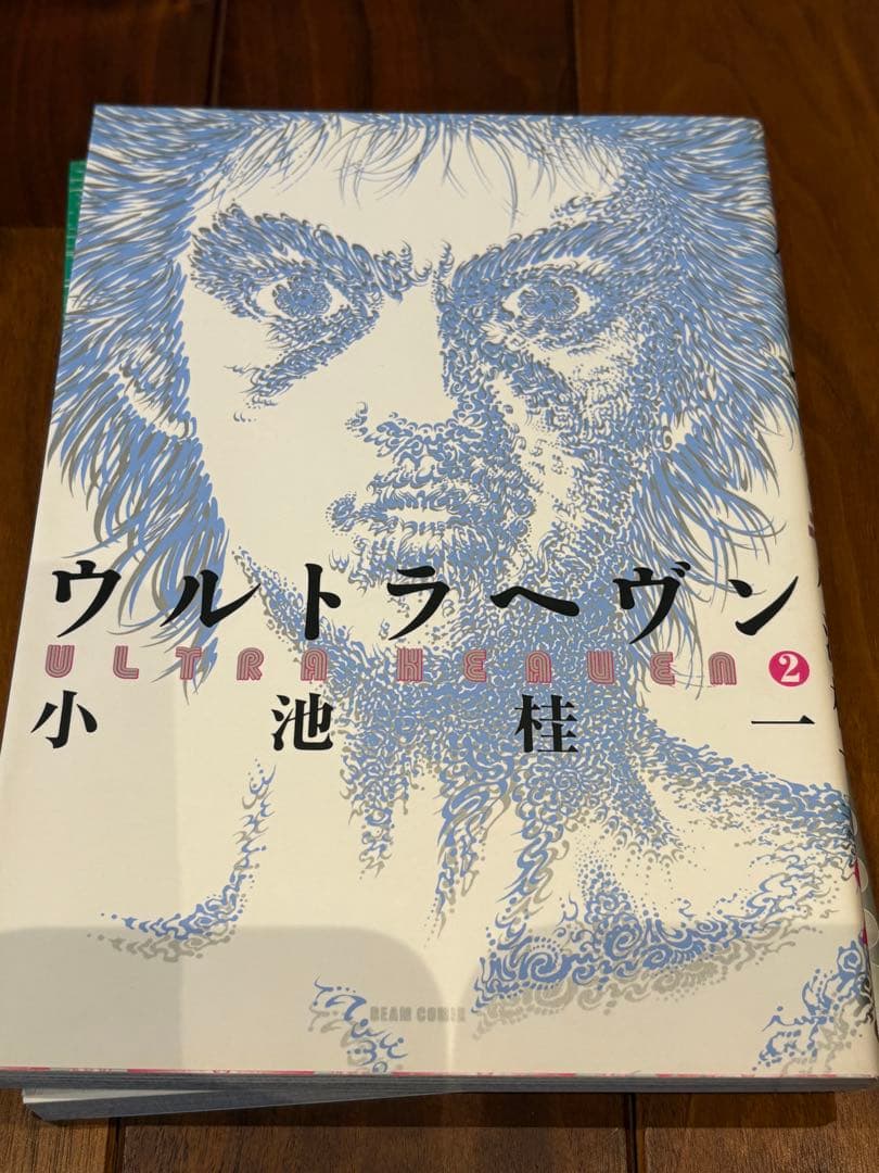 極美品 小池圭一 ウルトラヘヴン ヘヴンズドア ペーパードラッグ