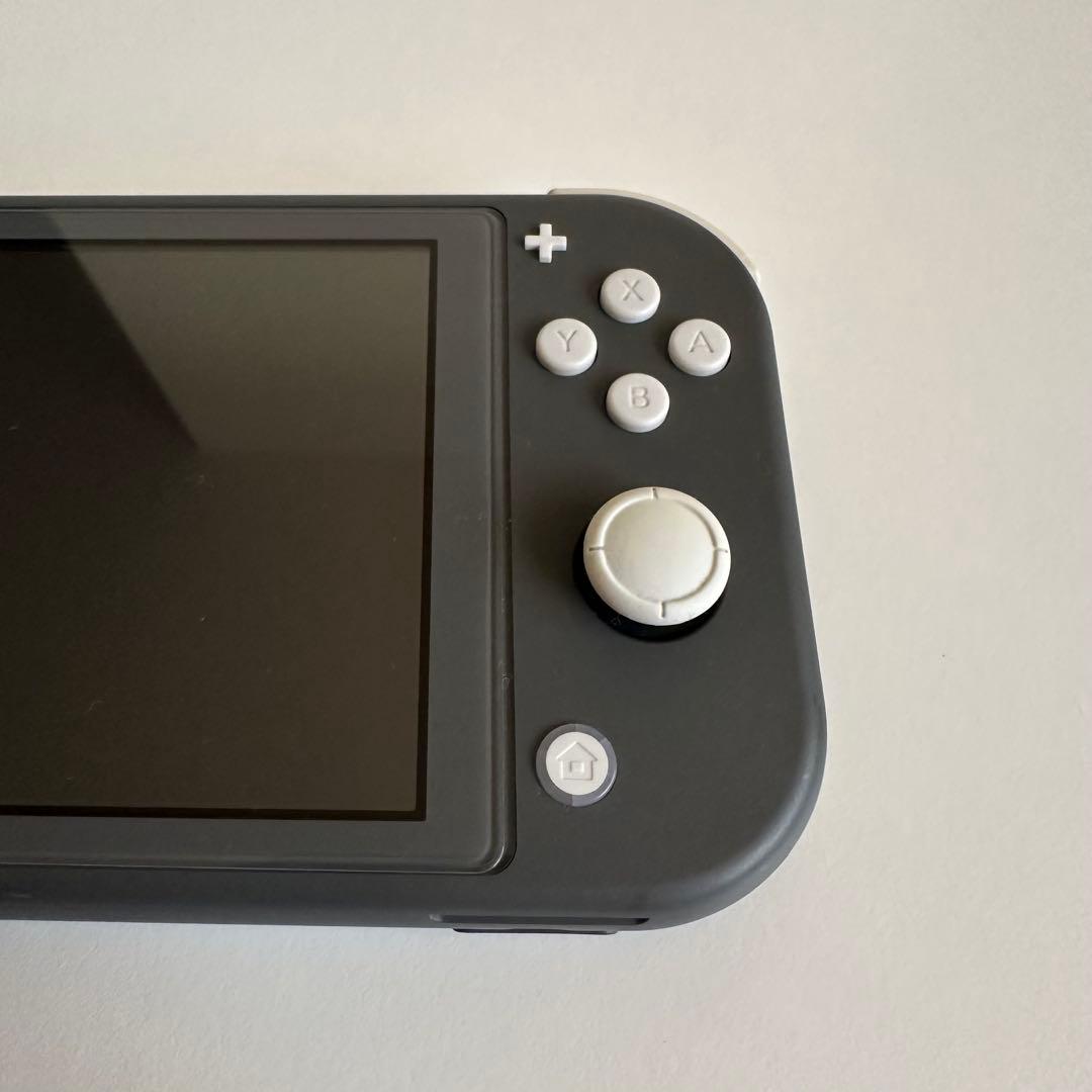 Nintendo Switch Lite グレー クリアケース付き