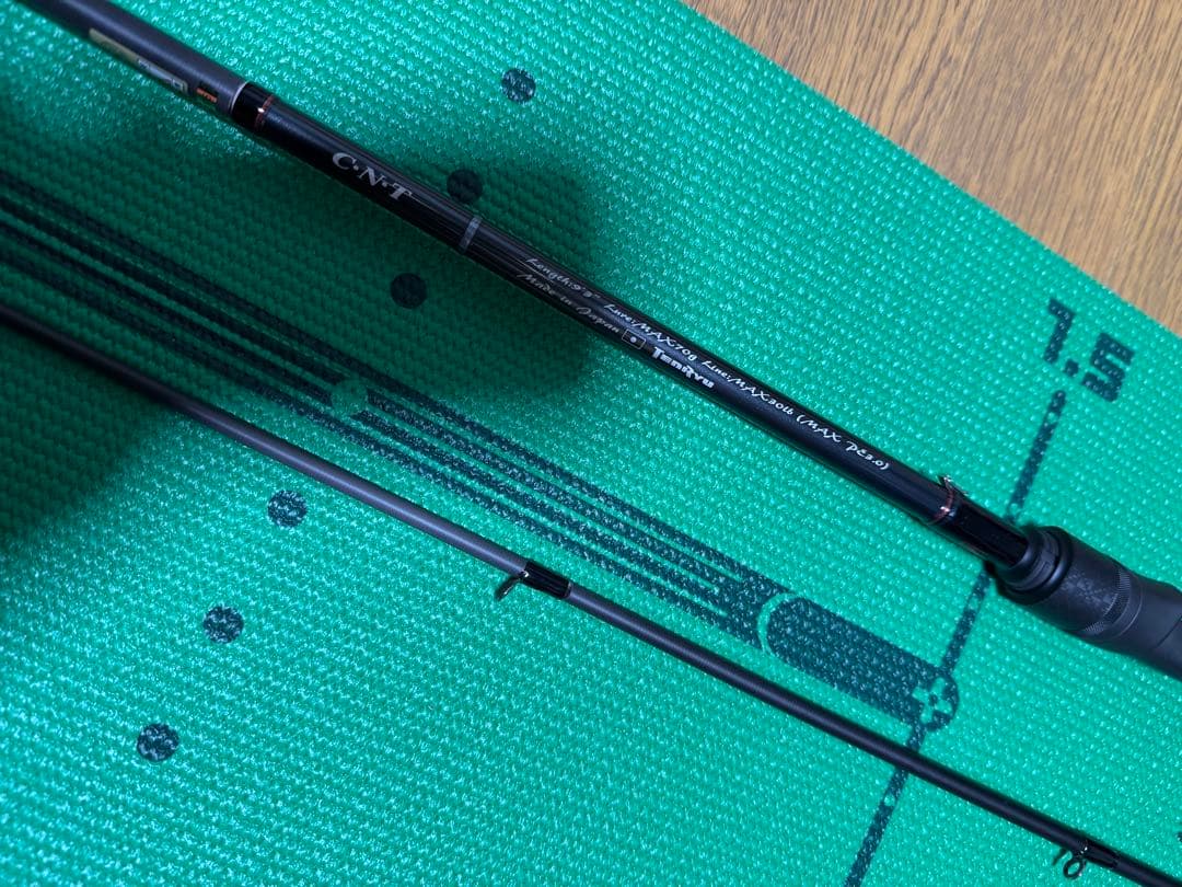 205 テンリュウ　スワット　シーバス　ベイト　カゲロウ