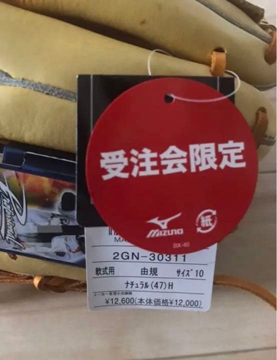 ミズノ プロフェッショナル 東京ヤクルトスワローズ 由規モデル 左 サウスポー