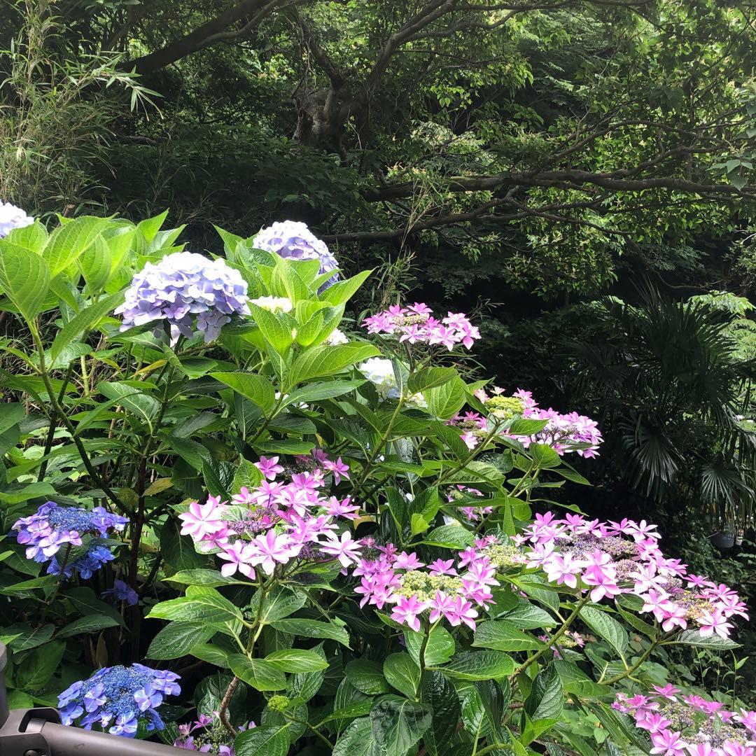 Daichi 　80’sヴィンテージ ブナ無垢　アンティーク　チェア