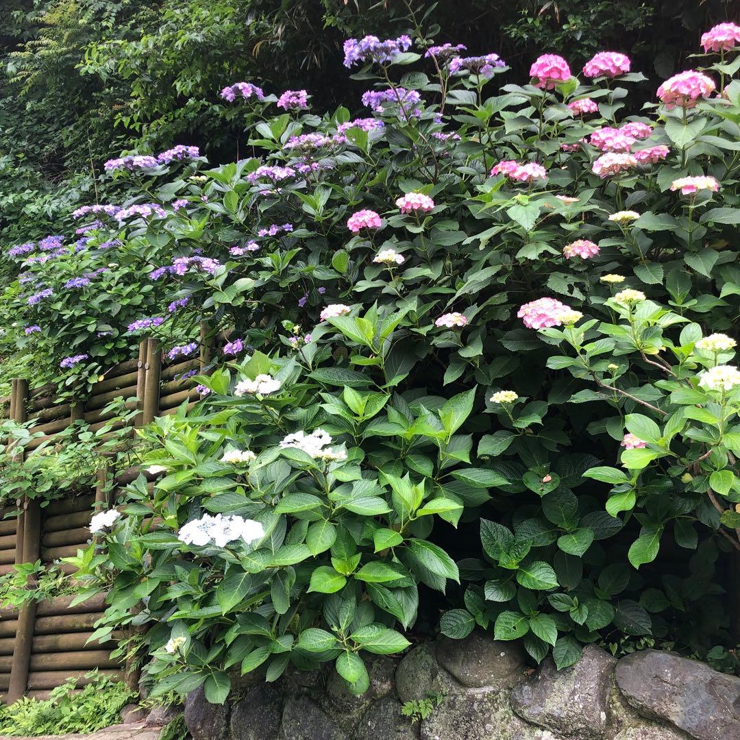 Daichi 　80’sヴィンテージ ブナ無垢　アンティーク　チェア