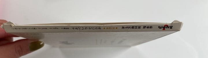 BBJ DVD (BAD BOYS J DVD) 豪華版