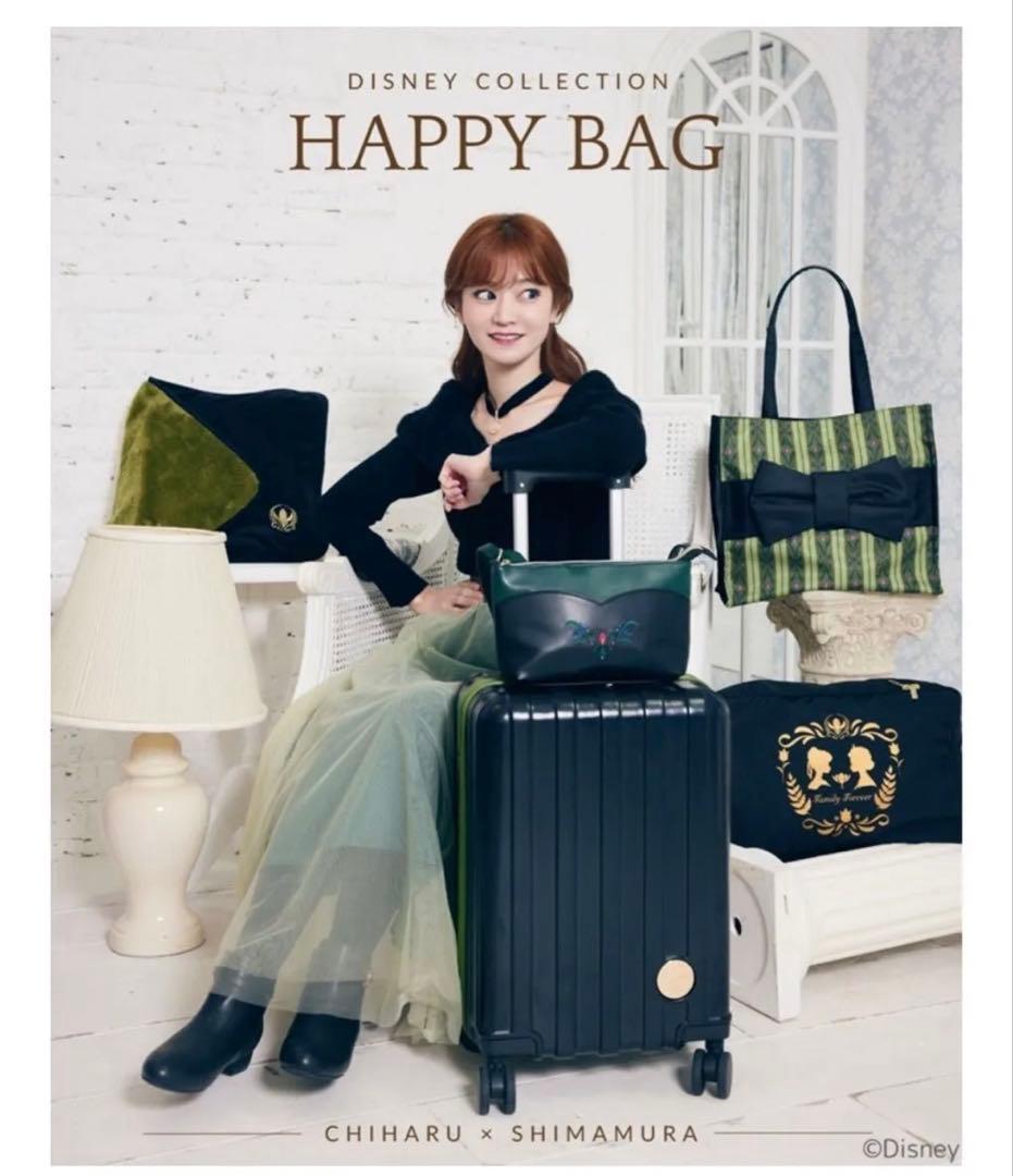 アナと雪の女王　 キャリーバッグ　5点セット アナ