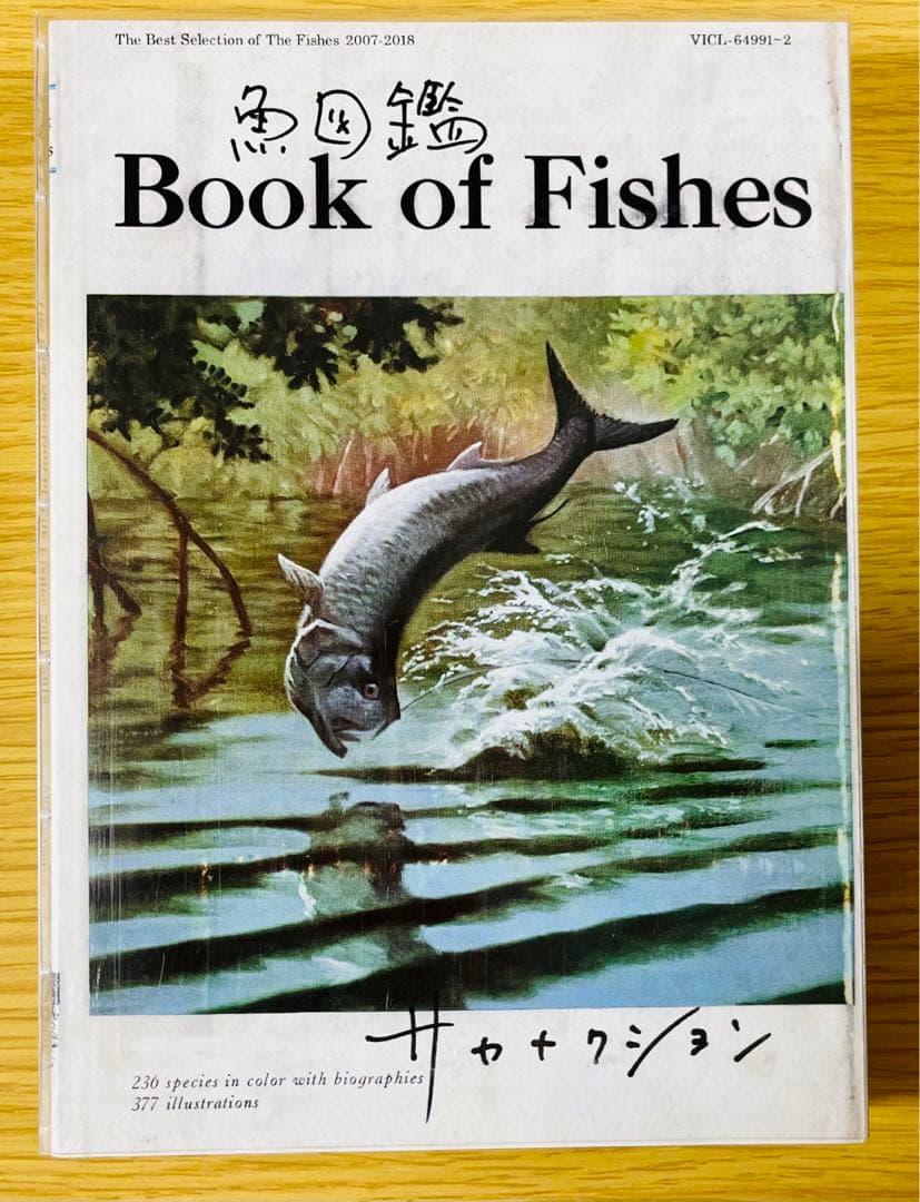 サカナクション アルバム全8枚&ベストアルバム魚図鑑&懐かしい月セット 初回盤