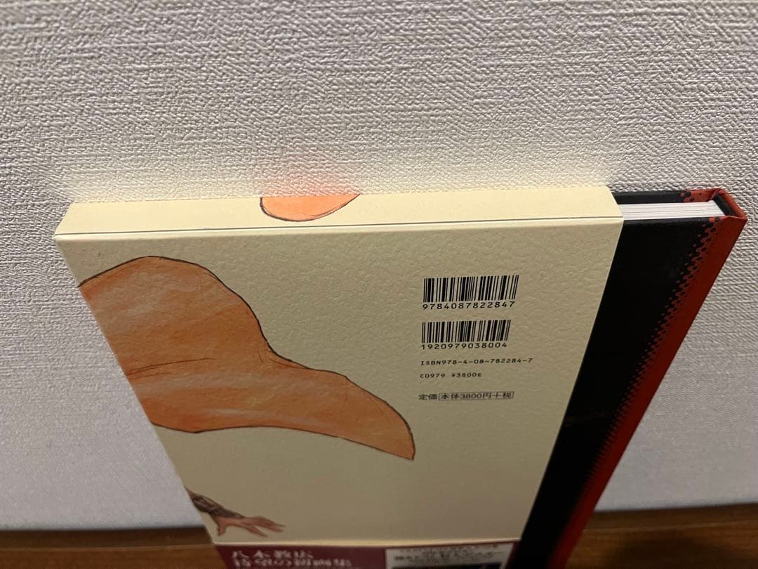 クレイモア Memorabilia 八木教広CLAYMORE画集