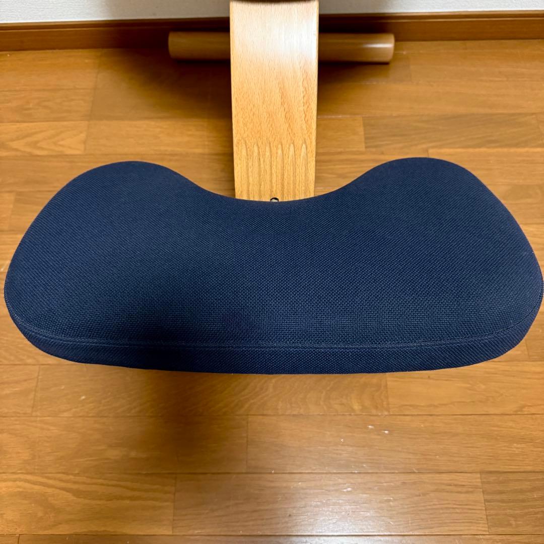 【美品】バランスイージー Rybo リボ社 バランスチェア ネイビー 姿勢改善