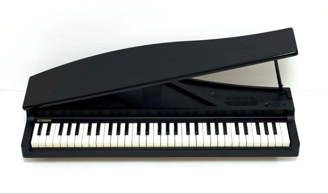 使用少なく美品♪ KORG MICROPIANO マイクロピアノ