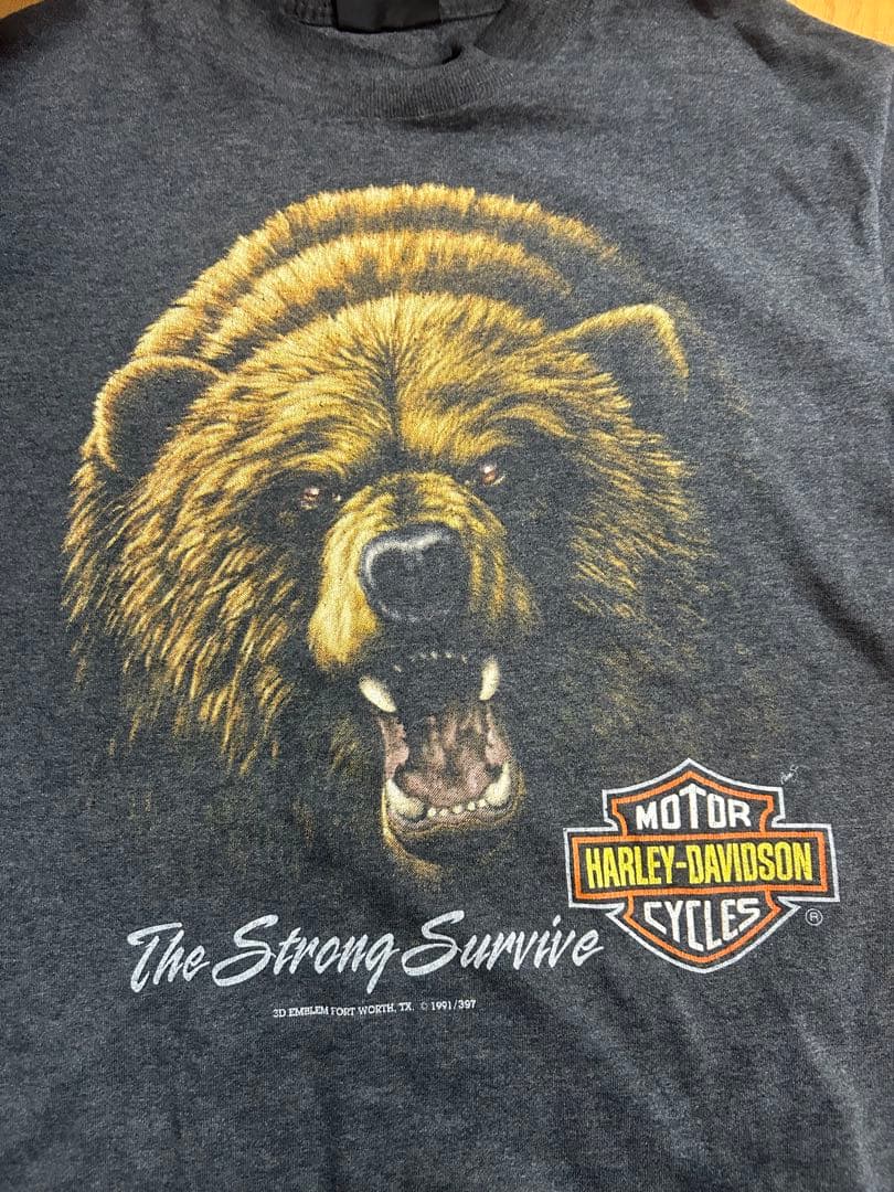 Harley-Davidson クマ Tシャツ