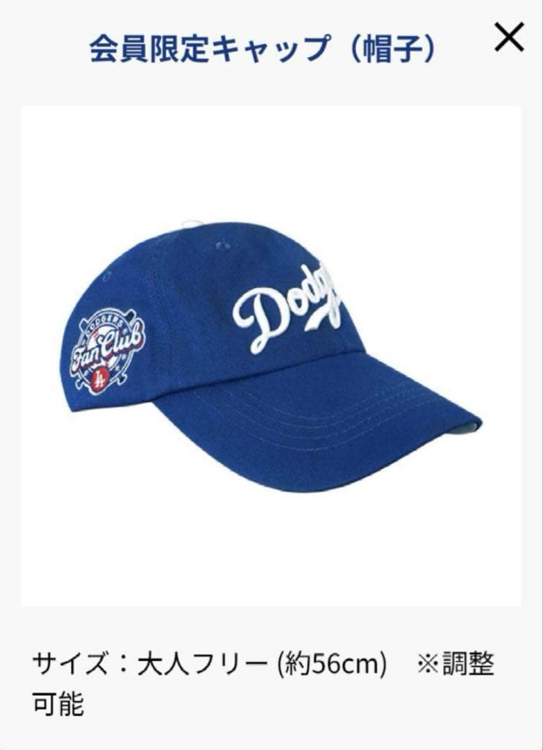 Dodgersドジャースファンクラブ　全6点セット