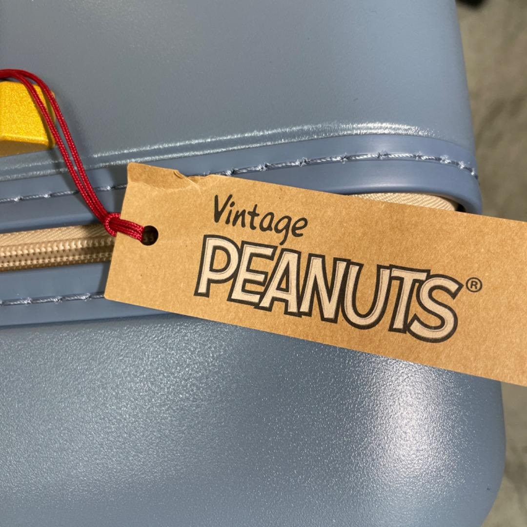 AH039 ジュエルナローズ　スヌーピーコラボキャリーケース