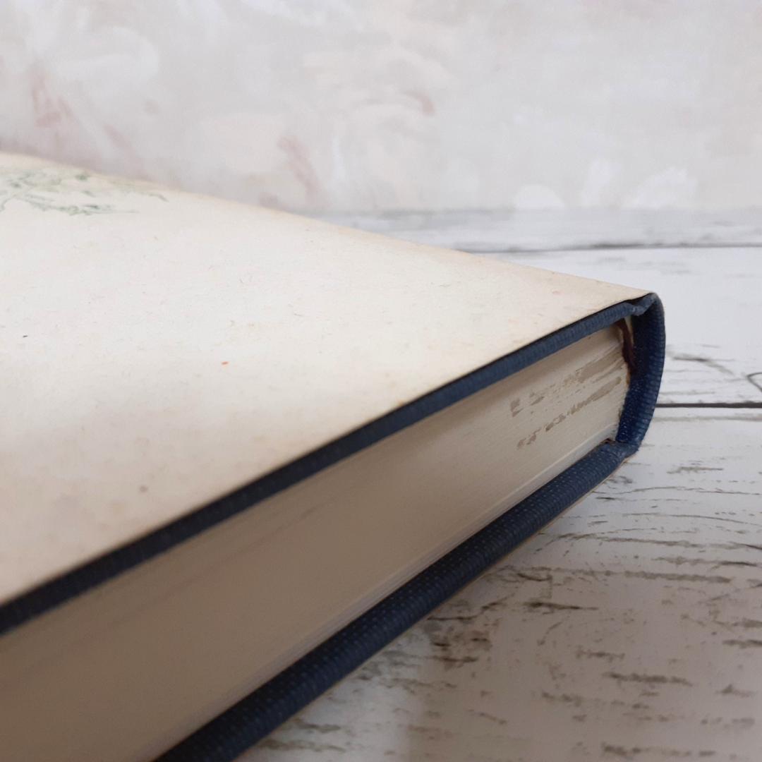 中国地方製鉄遺跡の研究　広島大学文学部考古学研究室　渓水社