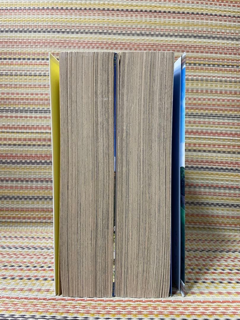 キャンディ♡キャンディ　愛蔵版　全２巻　いがらしゆみこ