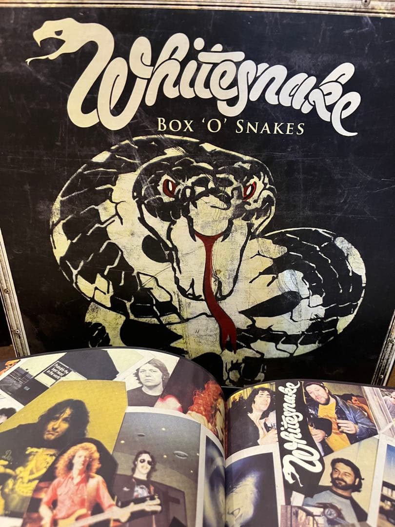 【極美品】ホワイトスネイク　限定Box 'O' Snakes