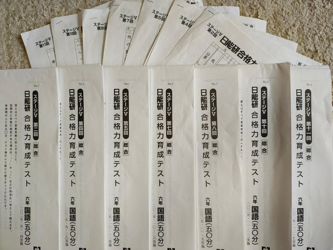 2025年度 日能研6年生【合格力育成テスト】