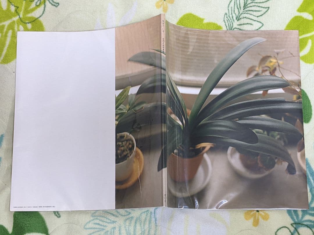 h*様 佐内正史 第１写真集「 生きている 」1997年 初版本