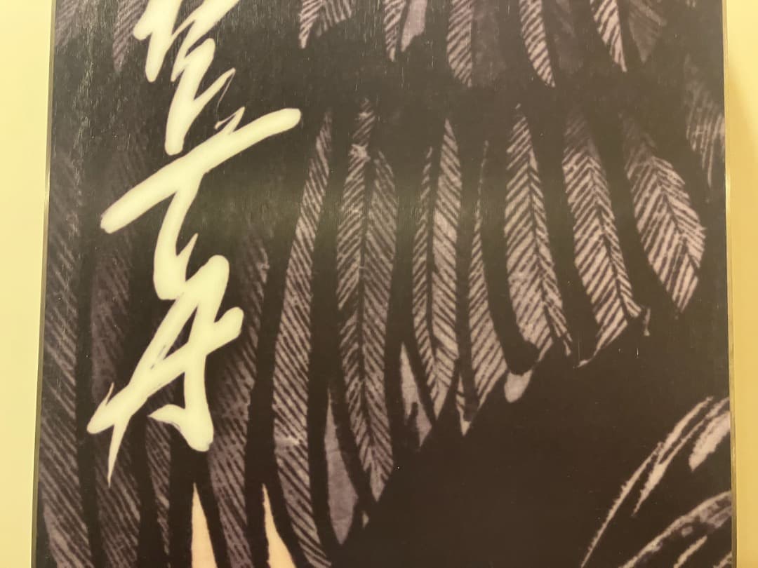 25-26 CAPITA KAZU KOKUBO PRO 160cmくれ