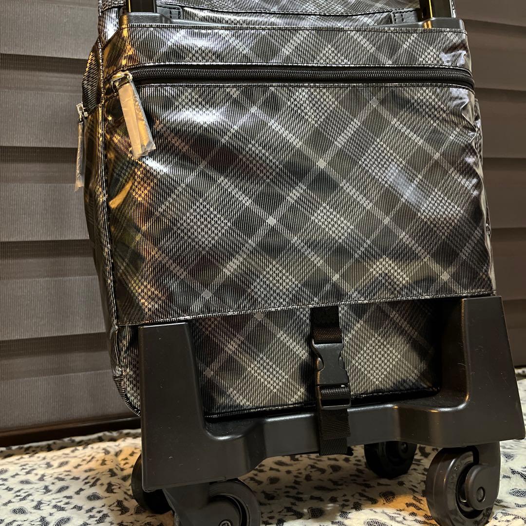 SWANY キャリーバッグ★支えるバッグ