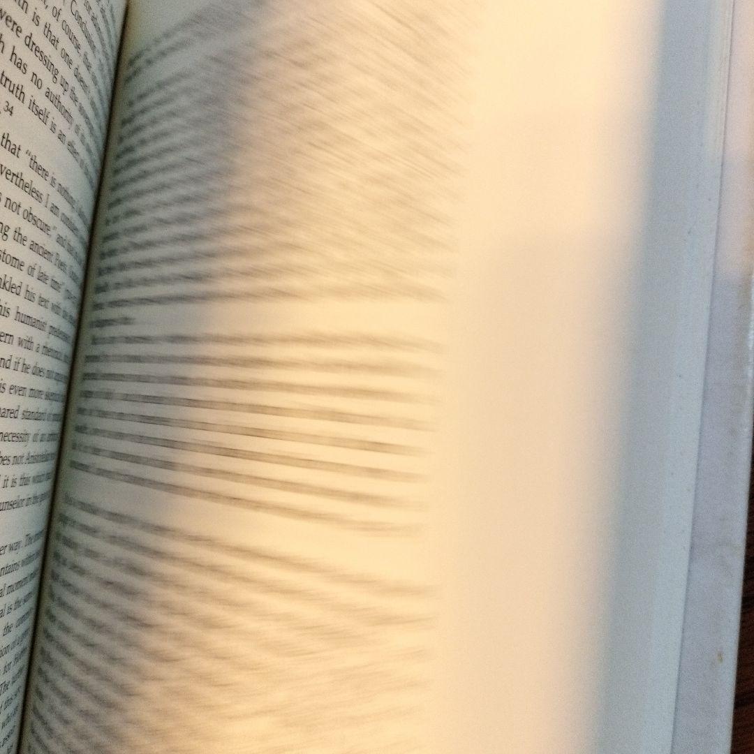 洋書 Rhetoric, Prudence, and Skepticism in th