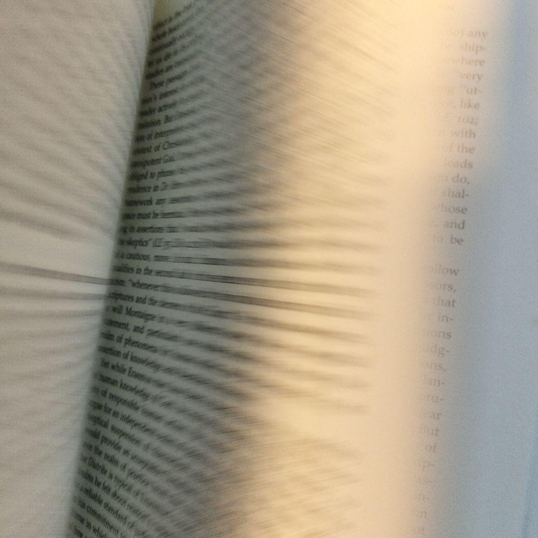 洋書 Rhetoric, Prudence, and Skepticism in th