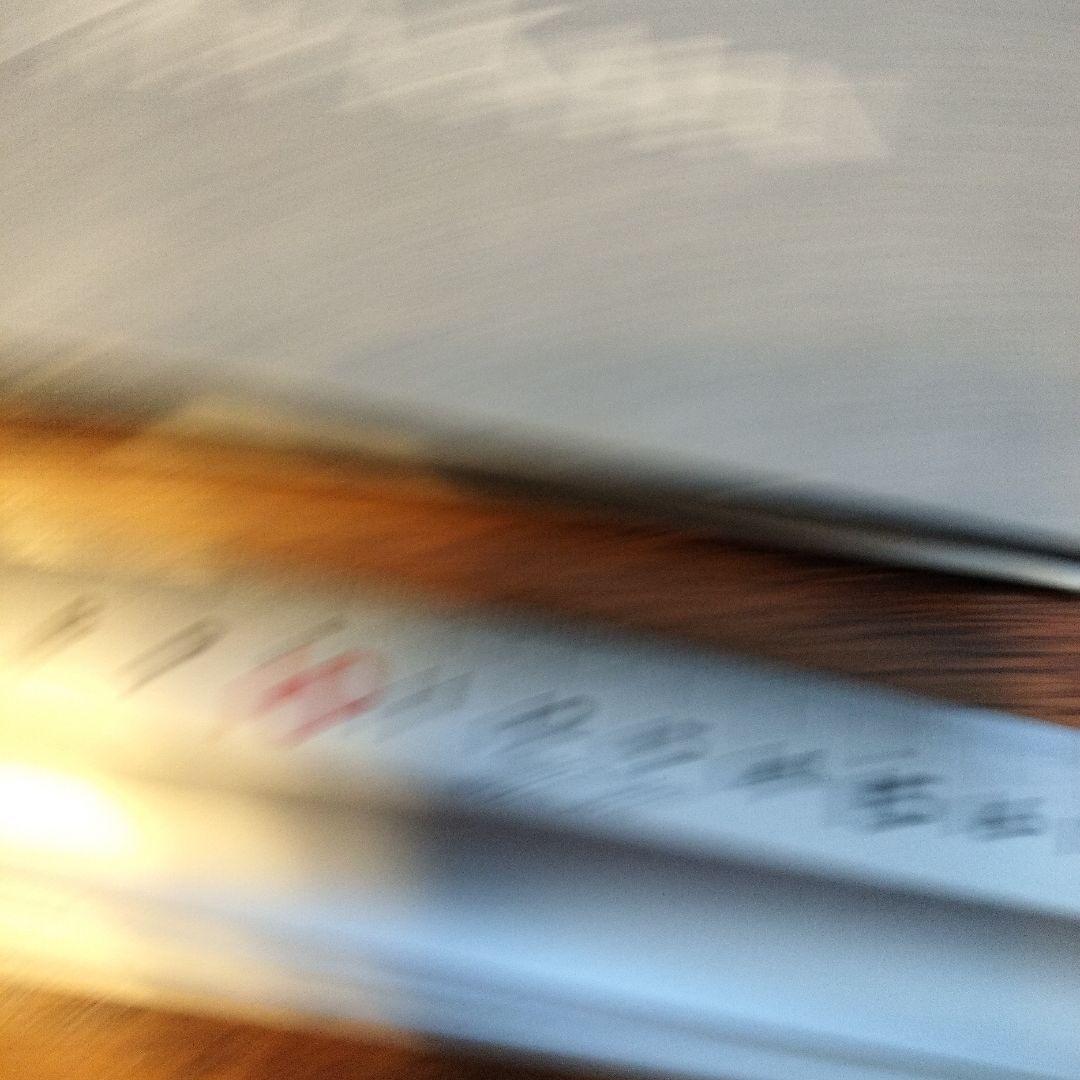 洋書 Rhetoric, Prudence, and Skepticism in th