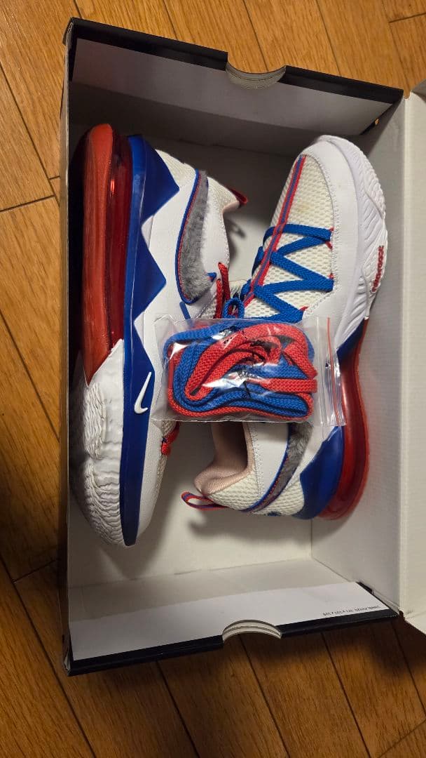 シューズ(男性用) Nike Lebron 17 low