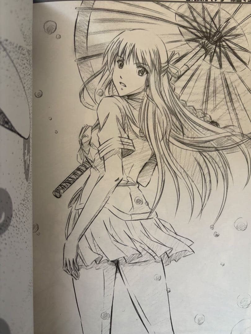 屍姫 イラスト集 戯画拾遺録 赫