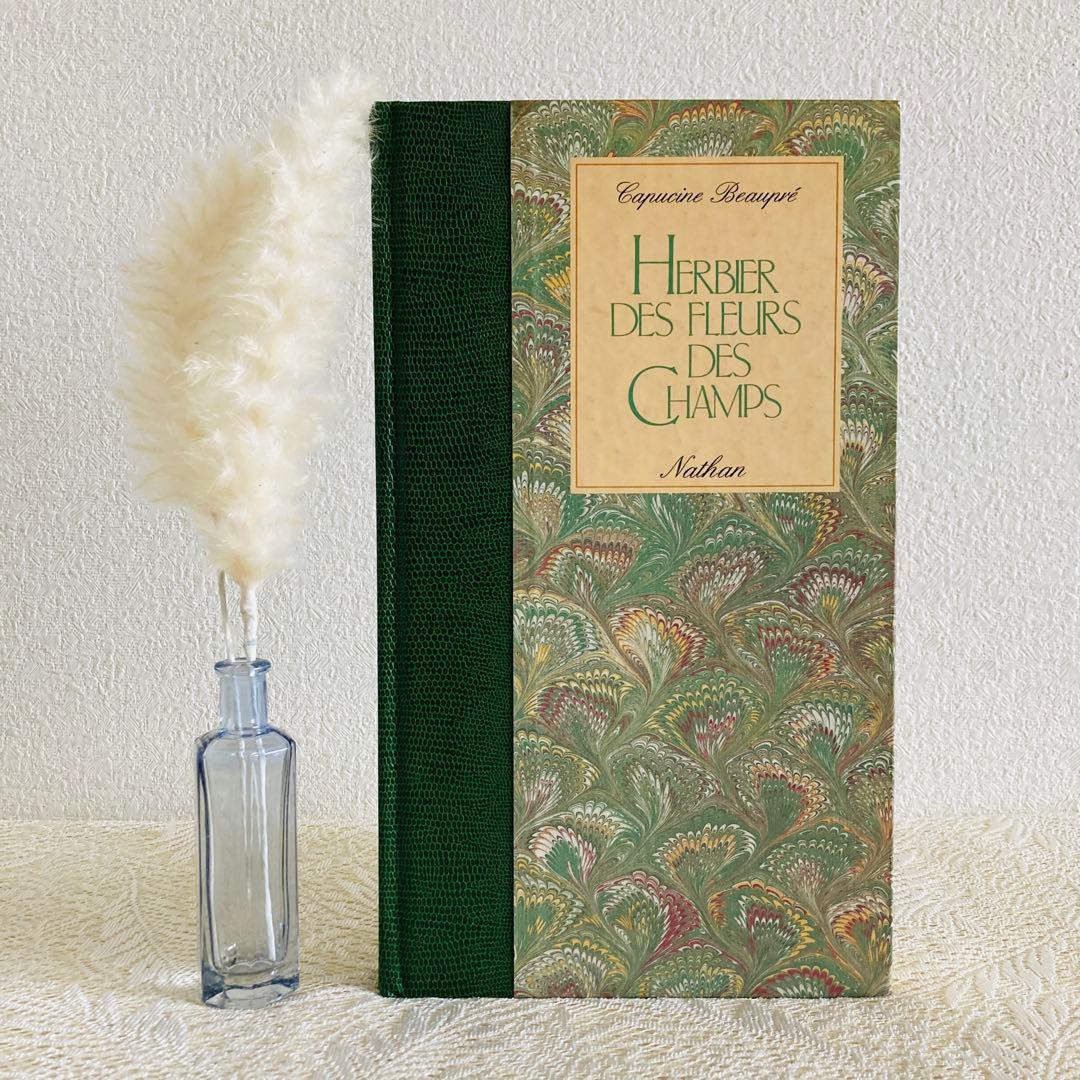 洋書　古書　フランスの植物図鑑　淡くやさしい水彩画♡　野の花　ハーブ