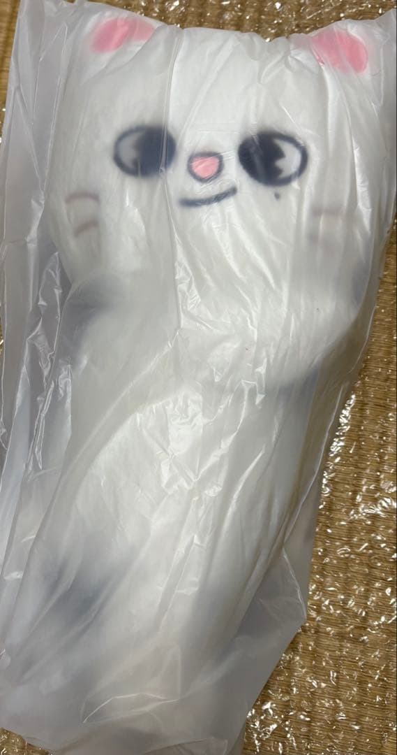 SKZOO PLUSH BAG Jiniret ジニレットStrayKids