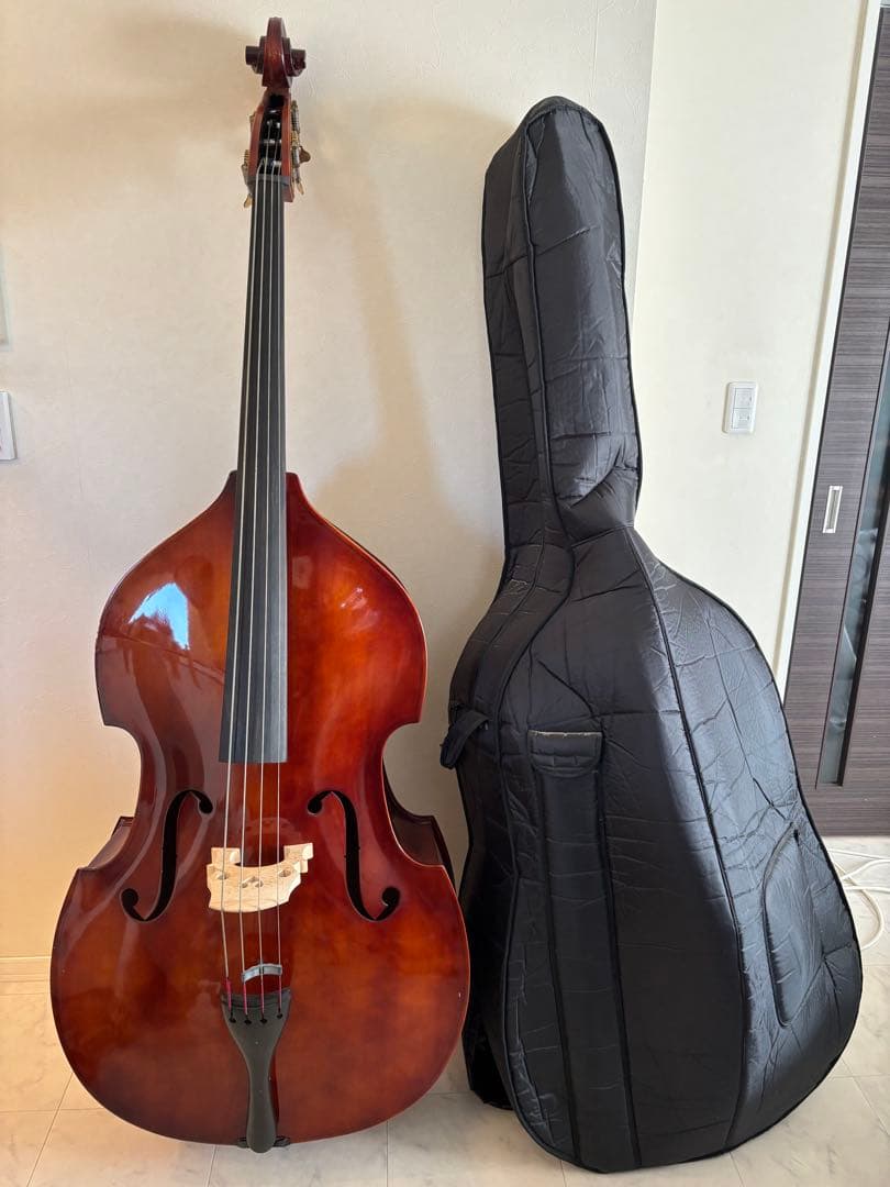 カルロジョルダーノ SB-150 ソフトケース付き　（直接取引限定）