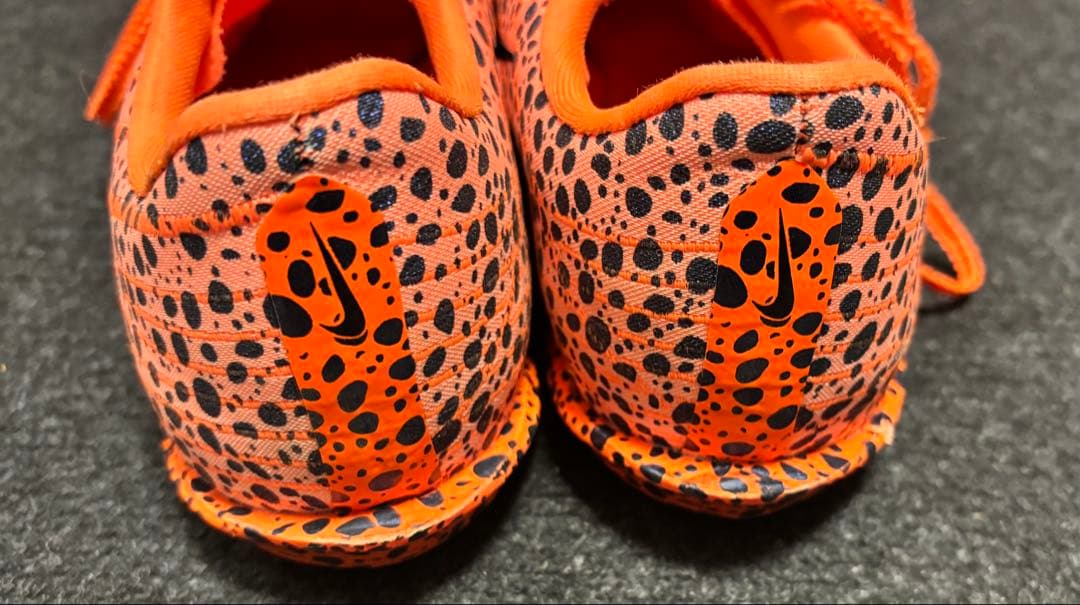 Nike マックスフライ2【25.0cm】パリオリンピックカラー 極美品