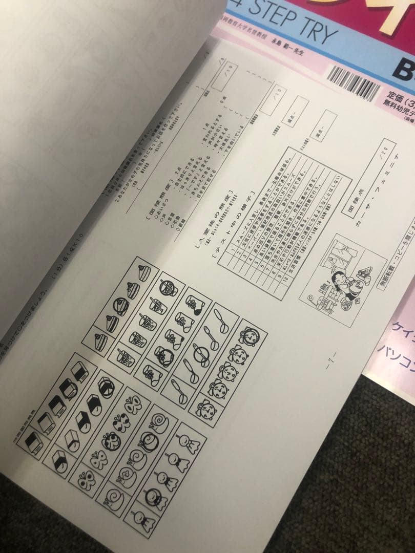 カーサフェミニナ　小学校受験　幼児テスト　トライB1〜12 書き込み/解答無