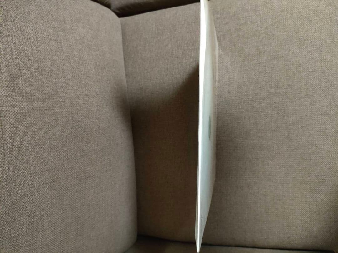 【売り切り価格‼️】クリスマス・イヴ アナログレコード 30周年記念盤