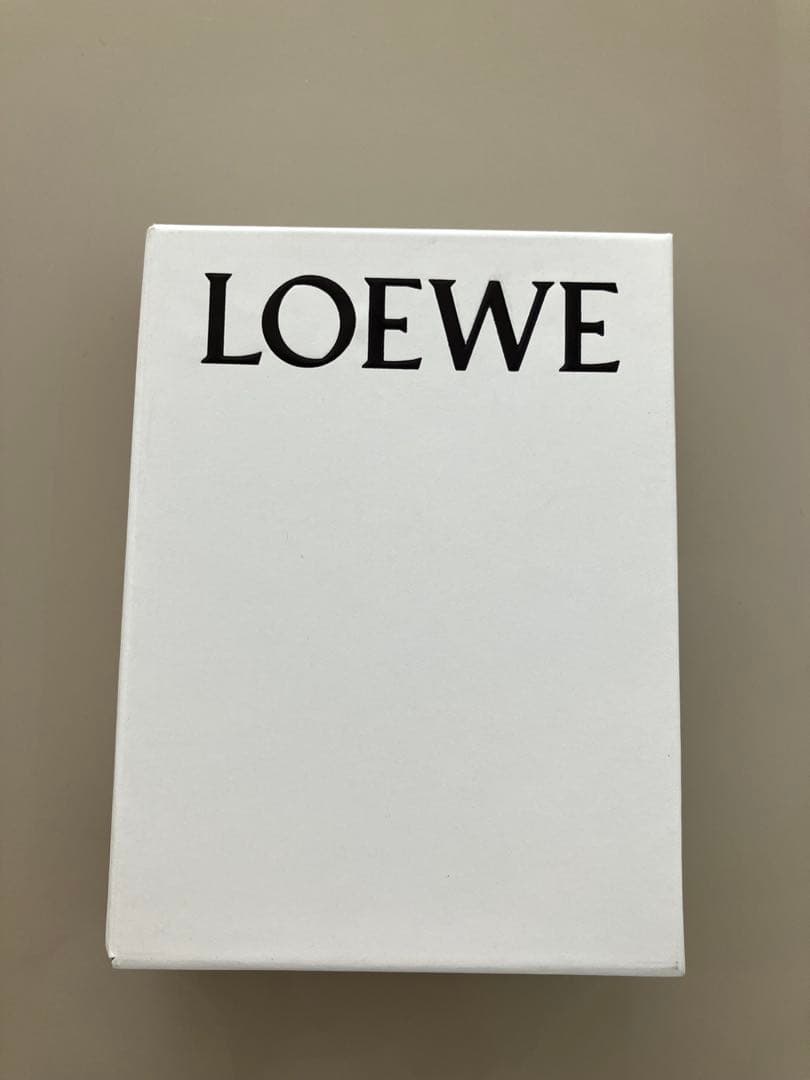 【美品】LOEWEロエベ うさぎクッキーケースラージ スナ・フジタ