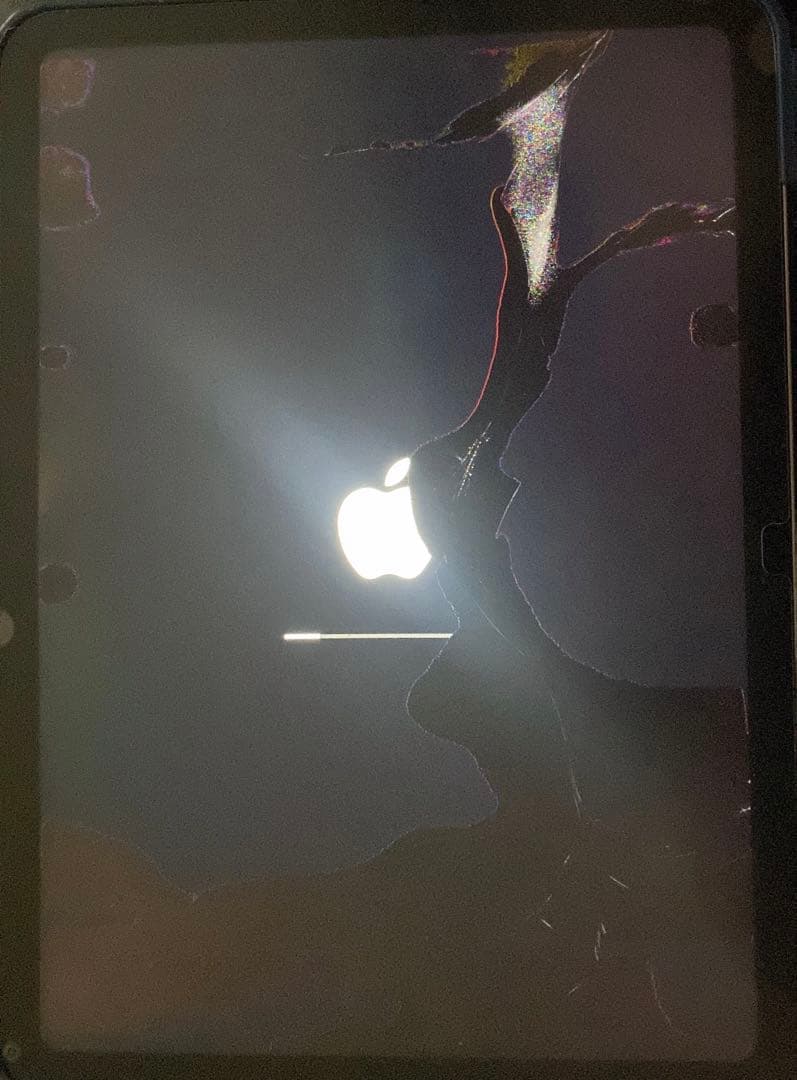 iPad第10世代 64GB Wi-Fiモデル 液晶漏れあり 動作正常 初期化済