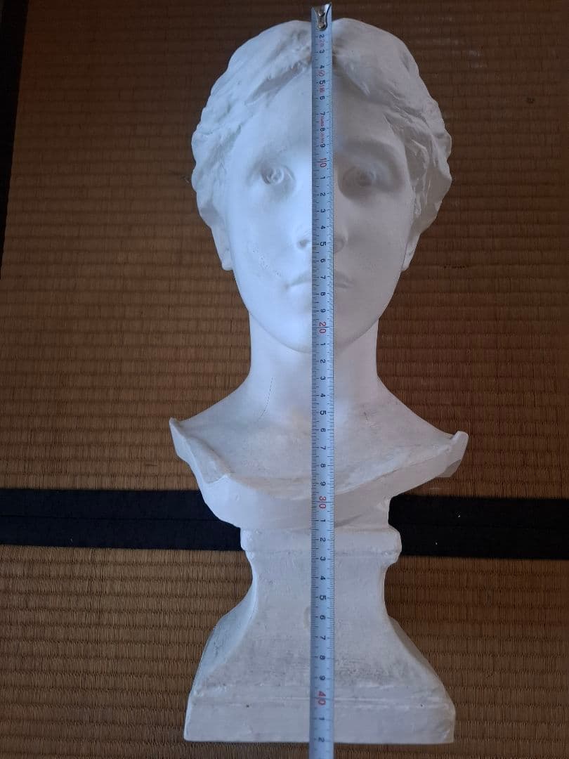 フレンチ胸像　デッサン　石膏像