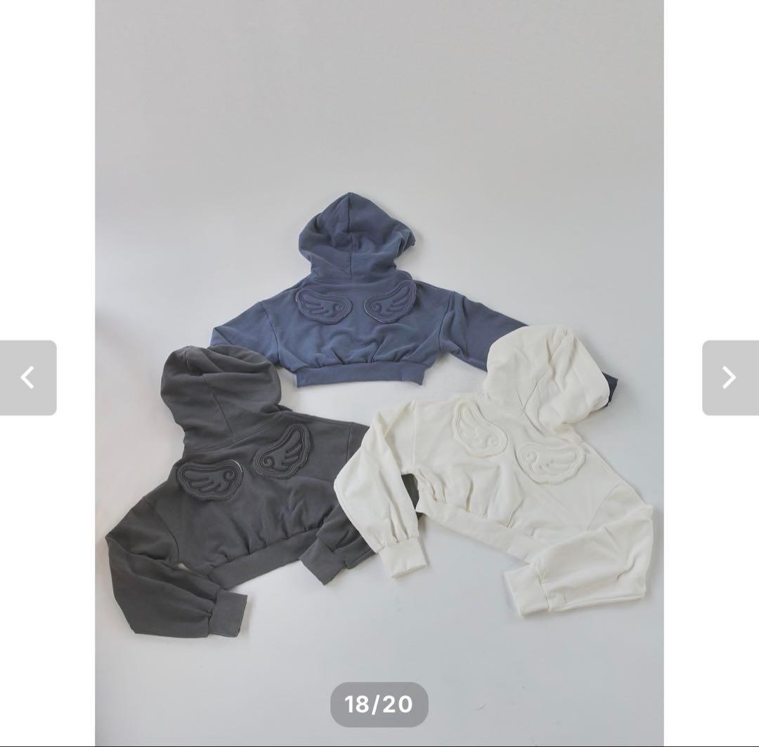 Lillilly 羽の刺繍付きクロップドフーディ