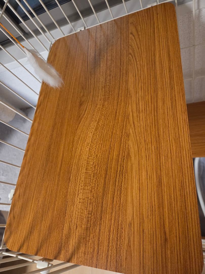 【極美品:使用期間2週間】ペットプロジャパン y キャットケージ