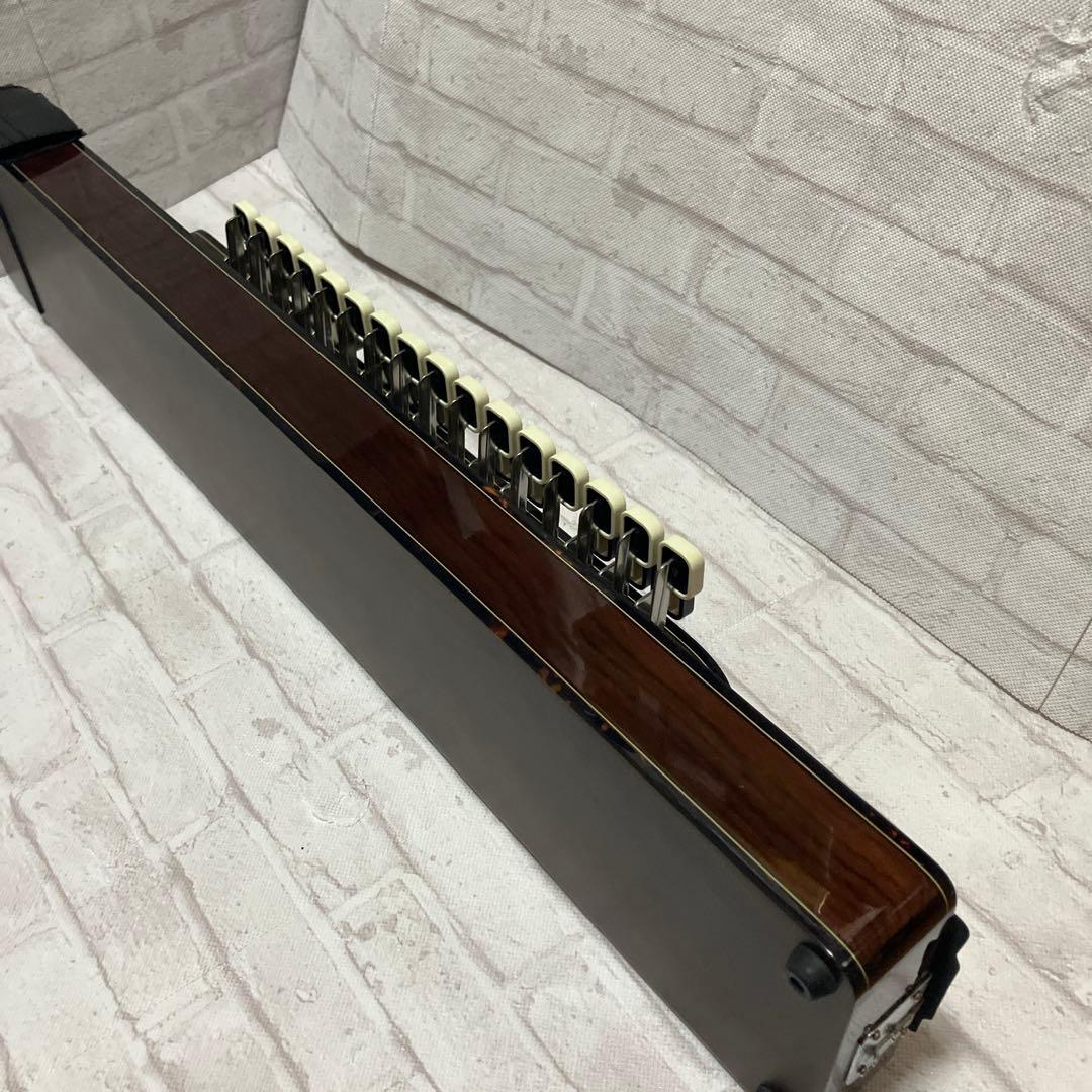 現状品　ライリッシュ 大正琴 LSS200 Lyrissh ソフトケース付き