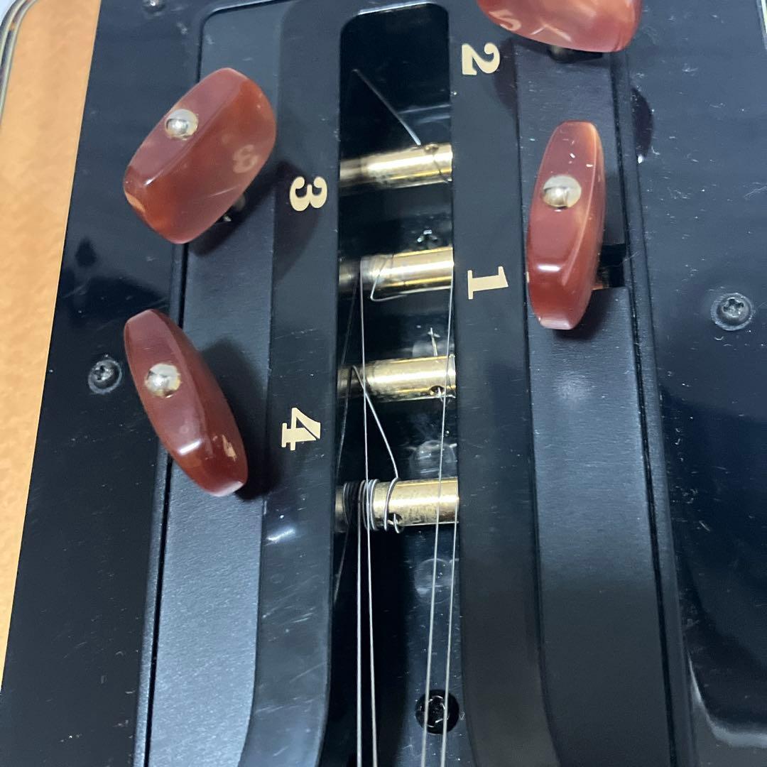 現状品　ライリッシュ 大正琴 LSS200 Lyrissh ソフトケース付き