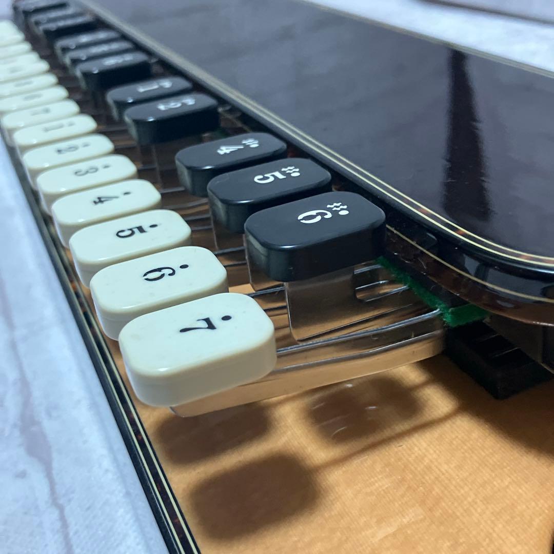 現状品　ライリッシュ 大正琴 LSS200 Lyrissh ソフトケース付き