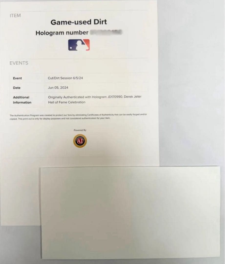 ヤンキース ホーム土入りキーホルダー MLB公式ホログラム証明書付き ジャッジ