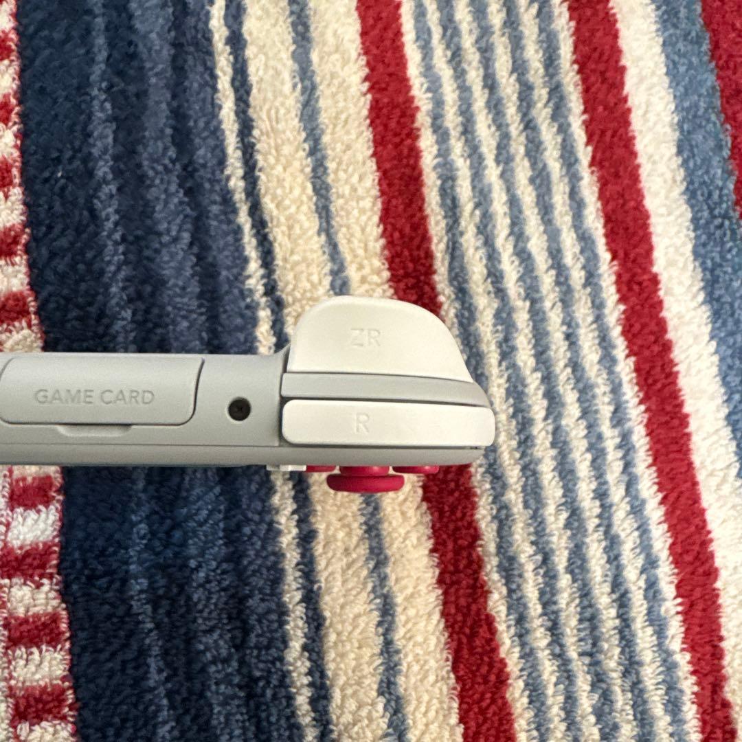 NINTENDO SWITCH LITE ポケモン　ザシアン　ジャンク