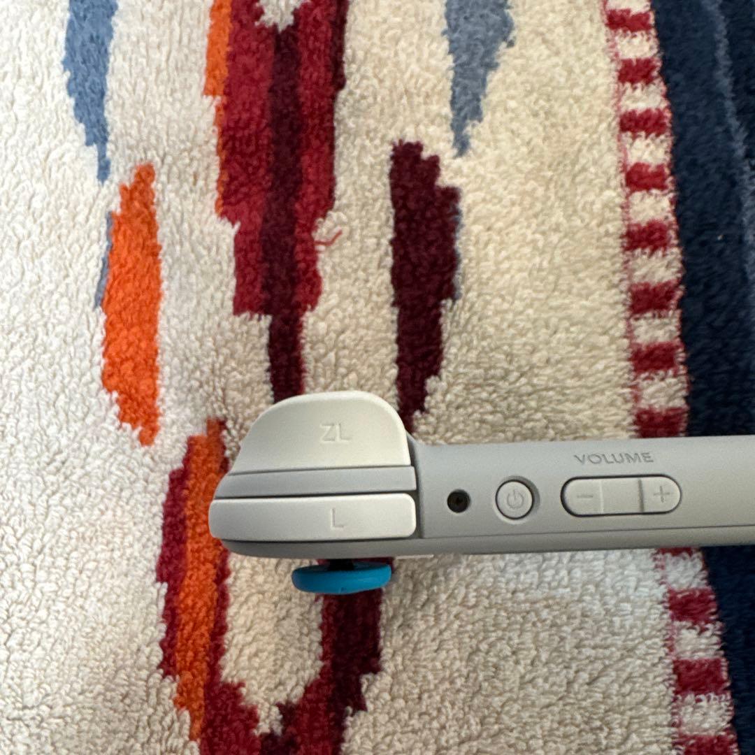 NINTENDO SWITCH LITE ポケモン　ザシアン　ジャンク