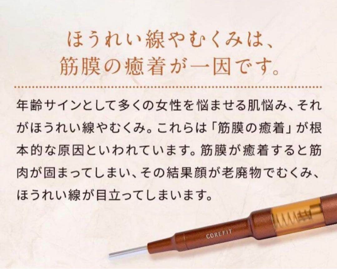 リニューアル【数回使用】コアフィット フェイスポインター2