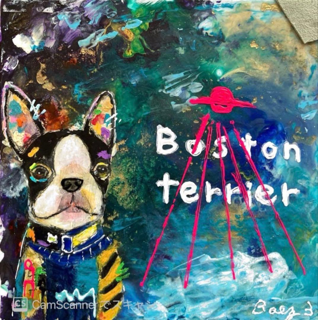 ボストンテリア　宇宙　犬　キャンバス　ポーリングアート　動物　BAEZ3