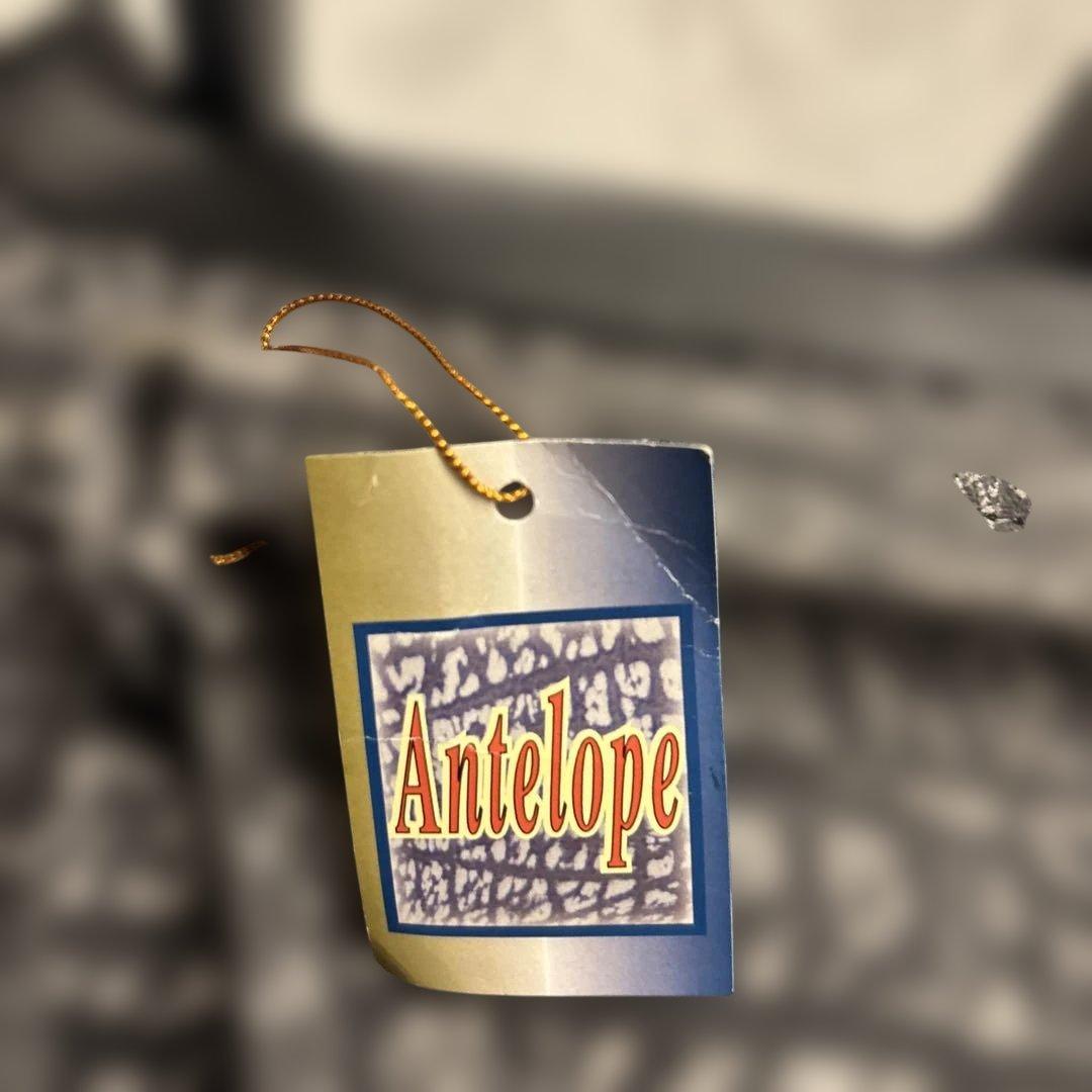 【希少✨】アンテロープ　レイヨウ　革　キャリーケース　機内持ち込み