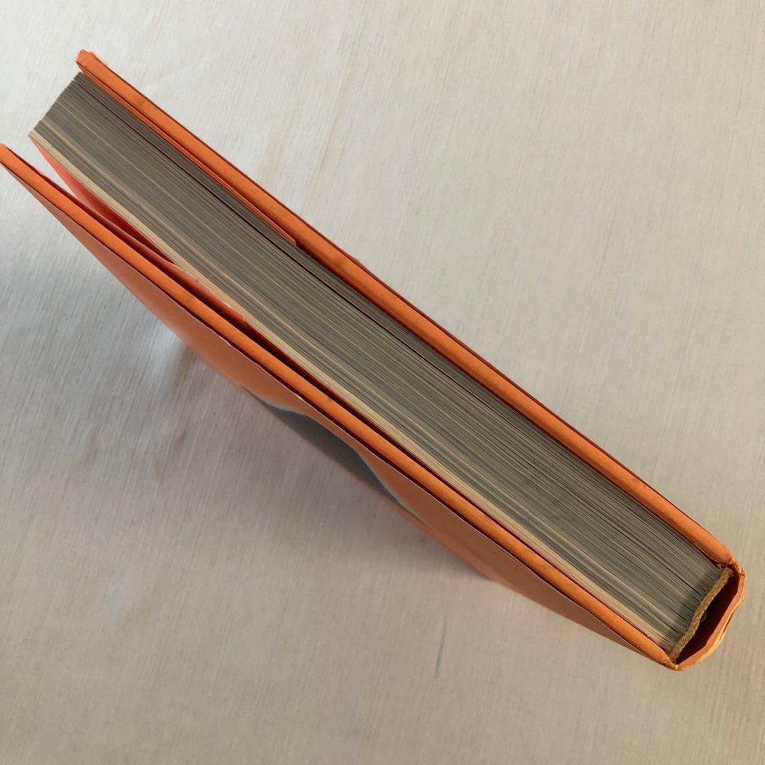 PHILIPPE STARCK フィリップ・スタルク プロダクト写真集 作品集